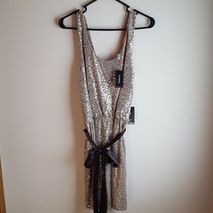 Express Sequin Dress
